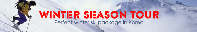 ski_banner