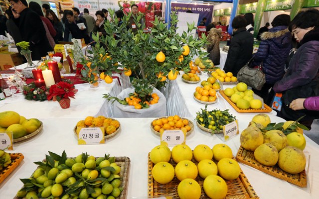 °¨±Ö Á¾·ù°¡ ´Ù ¸ð¿´³×~