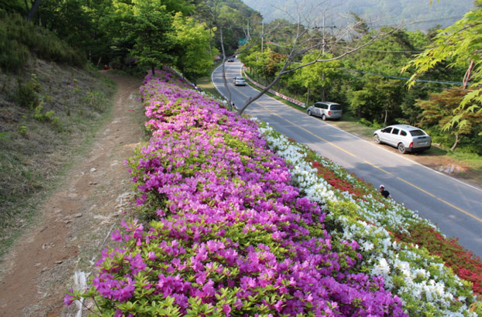 Best 10 walking trails of Korea