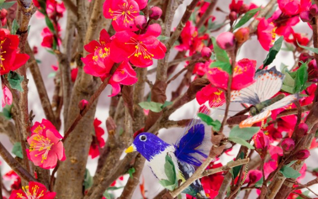 Joseon_era_Royal_Flower_01