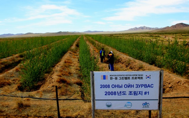 Desertification_Effort_Korea_01
