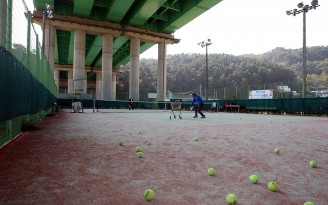 “Å״ϽºÀåÀÌ ÀÌ Á¤µµ´Â µÅ¾ßÁÒ”