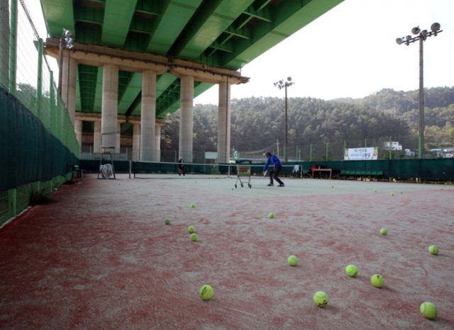 “Å״ϽºÀåÀÌ ÀÌ Á¤µµ´Â µÅ¾ßÁÒ”