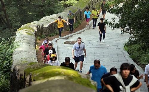 Namsan_Trail_Turtle_WalkAThon_Article_07