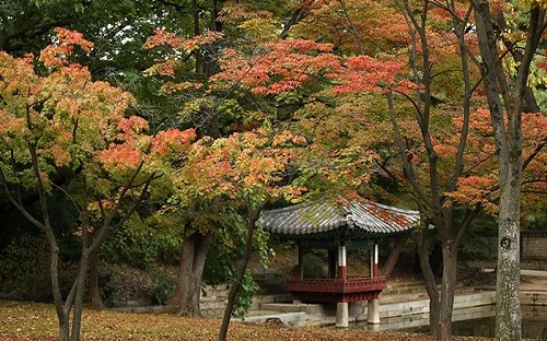 Korea_Fall_Sketch_Article_01