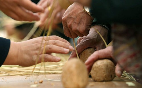 141124_jangdan_soybean_3