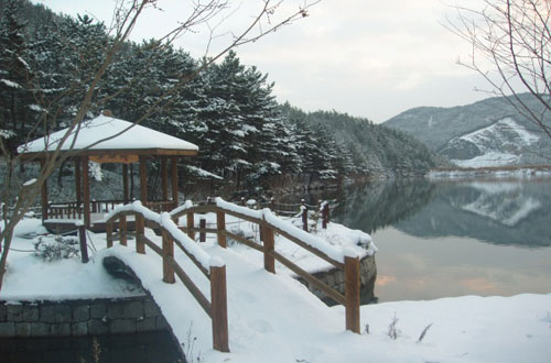 The gazebo and footbridge at the entrance create a picturesque scene with the pine forest as backdrop.