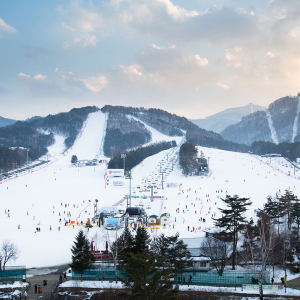 Yong pyeong ski resort | koreatourinformation.com