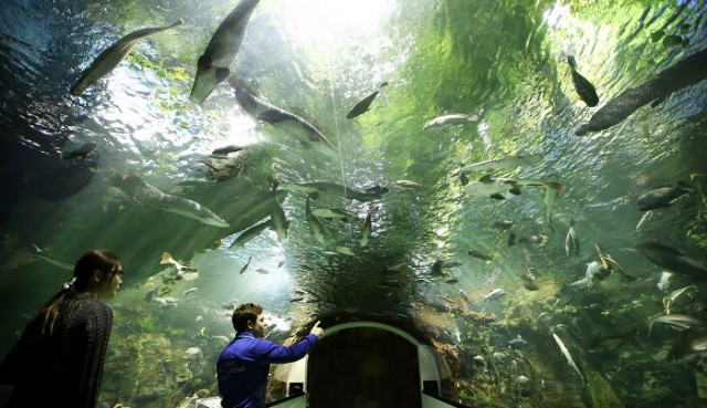 150123_Hanhwa_aquaplanet_ilsan_1