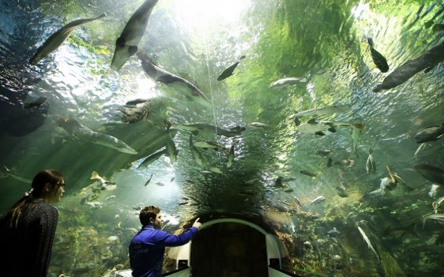 150123_Hanhwa_aquaplanet_ilsan_1