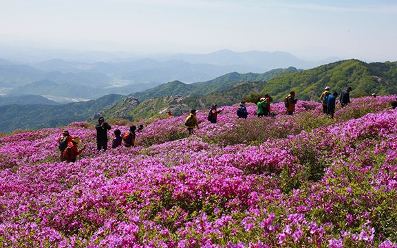 Hapcheon_Seeing_Article_04