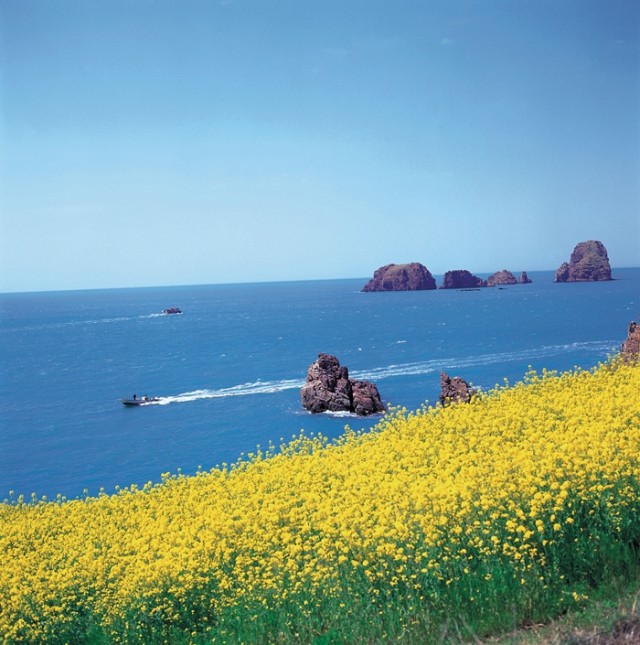 Spring explodes across the peninsula01