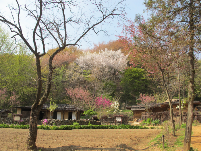 Folk Village 62