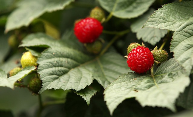 Gimhae_Sepcial_Article_02