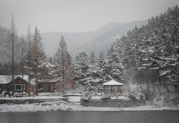 The Huirisan Mountain Nature Reserve & Recreational Forest is covered in snow.