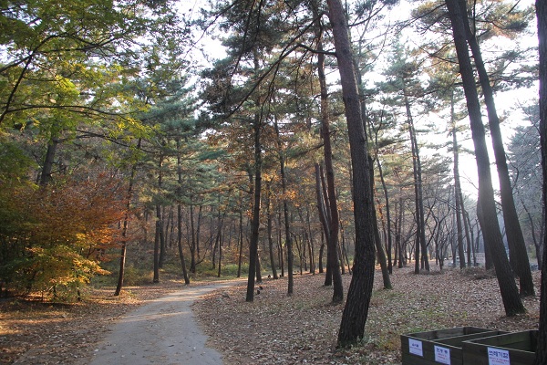 휴양림 입구의 산천저수지는 해송림과 함께 운치 있는 그림을 그려낸다.