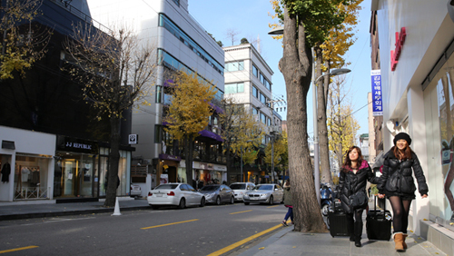 Japanese tourists Kanako Takayama (left) and Tabasa Kobayashi walk the street of Garosu-gil. Garosu-gil has become a must-see spot for young Japanese tourists because of K-pop and Korean dramas, said Kobayashi (photo: KOCIS).