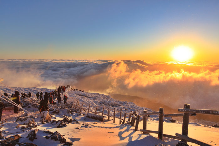 Tourists enjoy winter on Hallasan Mountain.