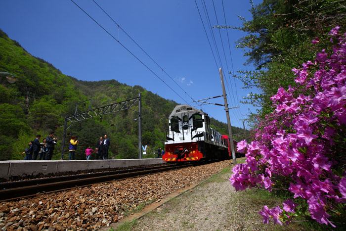 The highlight of the V-train ride, the picturesque landscape along the steep valley is particularly beautiful in May with spring flowers in full bloom (photo courtesy of KTO). 