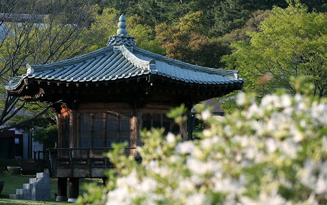 KORAIL_Gangjin_Gun_Article_02