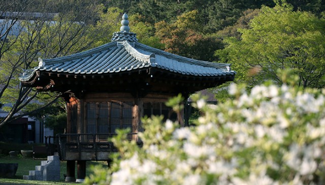 KORAIL_Gangjin_Gun_Article_02