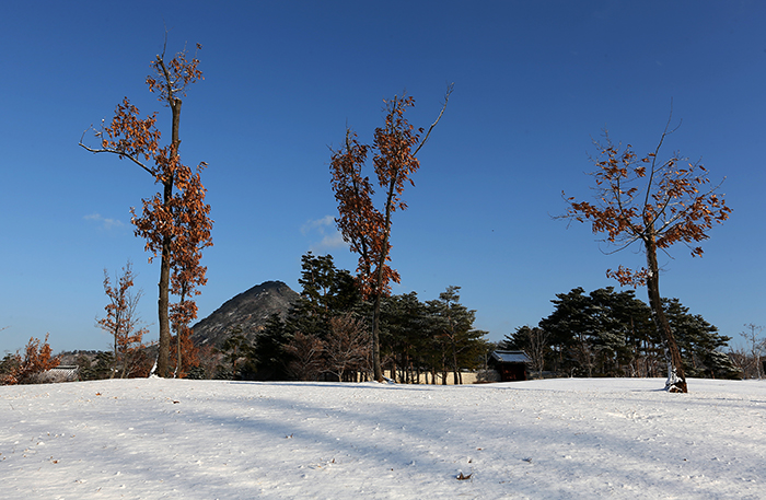 On the morning of December 11, white snowflakes piled up against the blue sky that appeared after the clouds cleared away, adding to the beauty of Gyeongbokgung Palace. (Photo: Jeon Han)