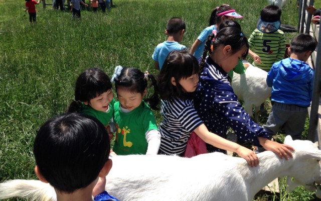 Farm_house_Nationwide_01