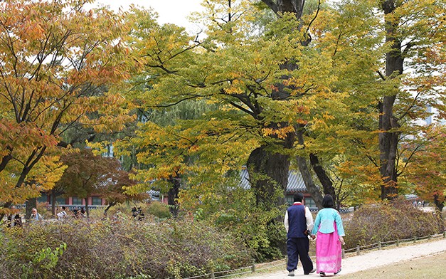 Korea_Fall_Article_20151027_04