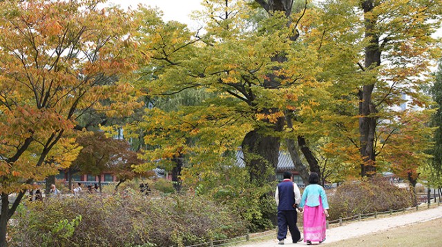 Korea_Fall_Article_20151027_04