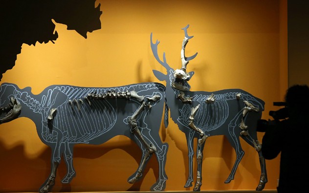 New_Stone_Age_Exhibition_07