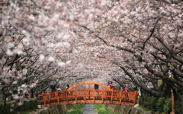 160328_springflower_art3