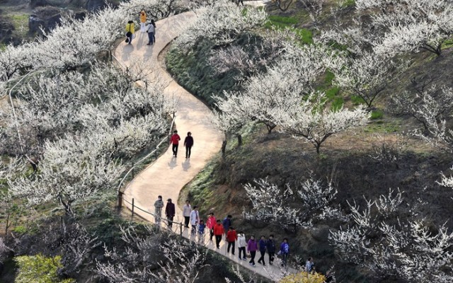 6857d0da493c68cc31c71ca1a4b69b9b