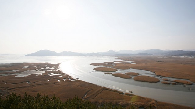 20160302_Suncheon_01