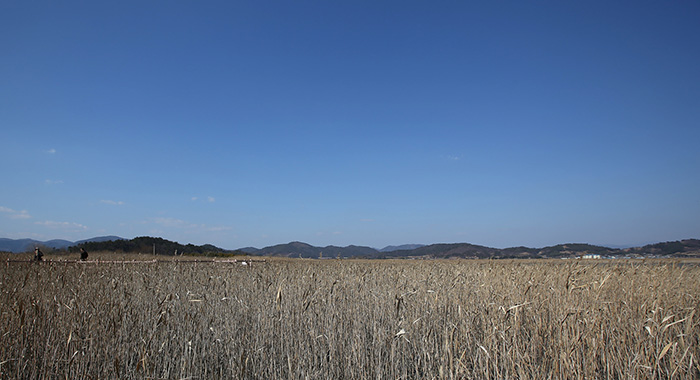 20160302_Suncheon_02