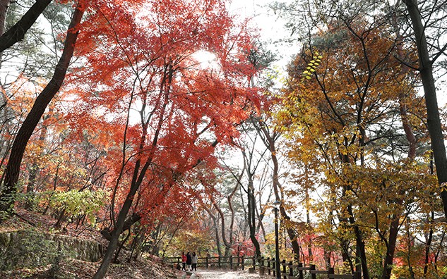 late_fall_2016_article_01