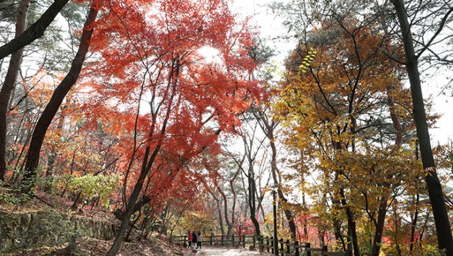 late_fall_2016_article_01