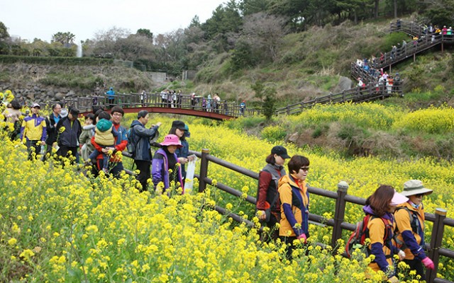 20170314 Jeju Walking