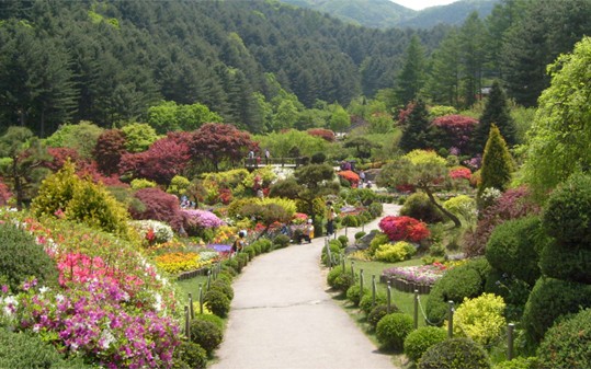 Garden-of-Morning-Calm