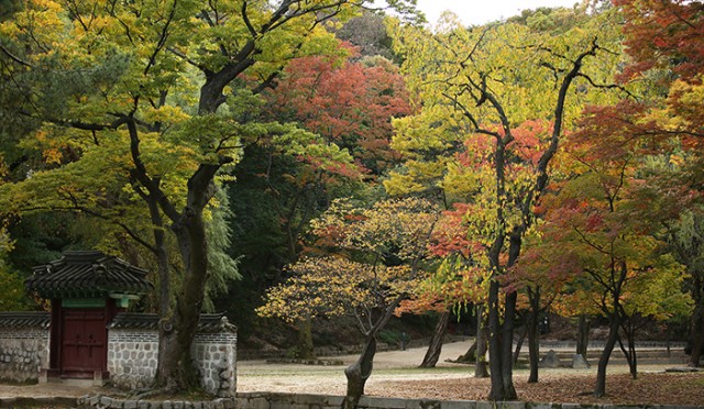 maple_171012_article_chang