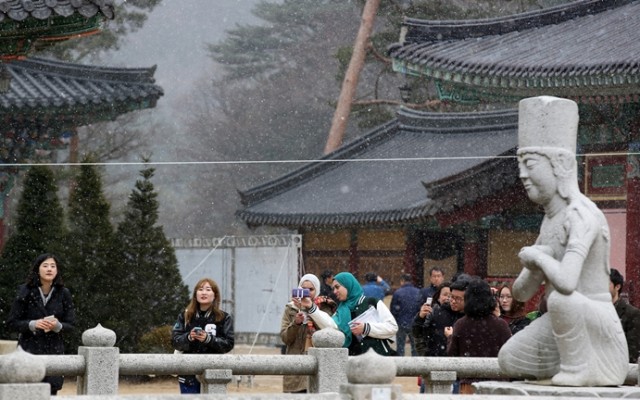 180201_Time for a walk across Gangwon_01